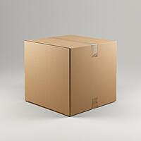 RN2856U - Universal Corrugated Box - 3 Ply - Strong  - 25X25X30 cm / 9.8X9.8X11.8  inch - OD
